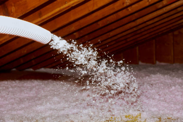Best Attic Insulation Installation  in Glendale, CA